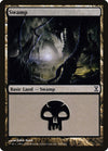 Image for Swamp (290) (Time Spiral) (290) - Magic: The Gathering