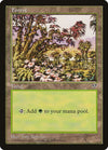 Image for Forest (Red Tree Leaves) (Mirage) - Magic: The Gathering