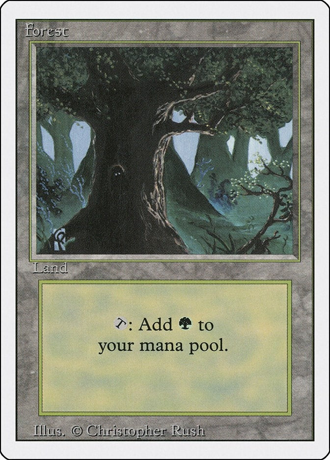 Image for Forest (C) (Revised Edition) (285) - Magic: The Gathering