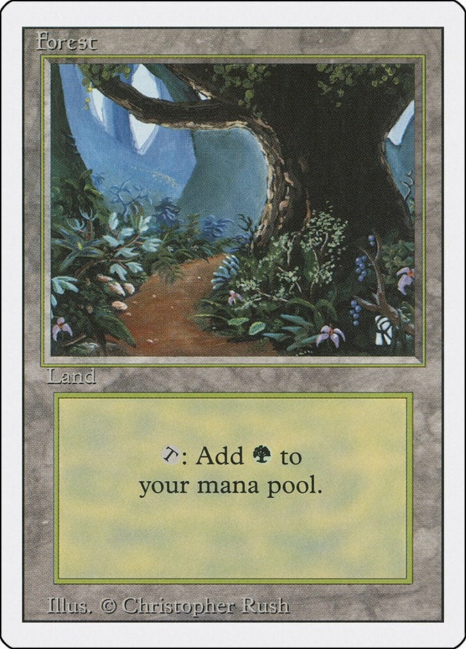 Image for Forest (B) (Revised Edition) (286) - Magic: The Gathering