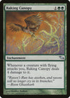 Image for Raking Canopy (Shadowmoor) (127) - Magic: The Gathering