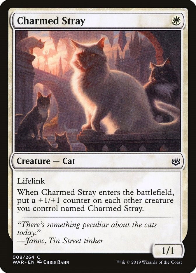 Image for Charmed Stray (War of the Spark) (8) - Magic: The Gathering