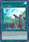 Image for Danger! Excitement! Mystery! (Dark Neostorm) (DANE-EN083) - YuGiOh