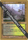 Image for Llanowar Wastes - 2001 Jan Tomcani (APC) (World Championship Decks) - Magic: The Gathering