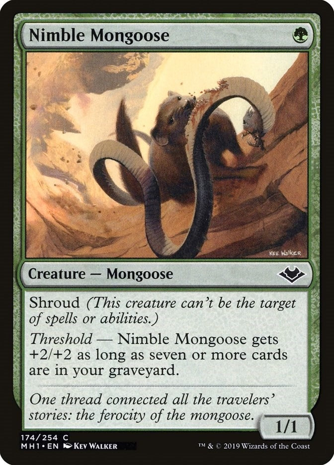 Image for Nimble Mongoose (Modern Horizons) (174) - Magic: The Gathering