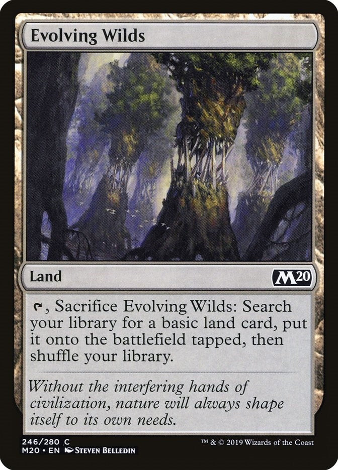 Image for Evolving Wilds (Core Set 2020) (246) - Magic: The Gathering
