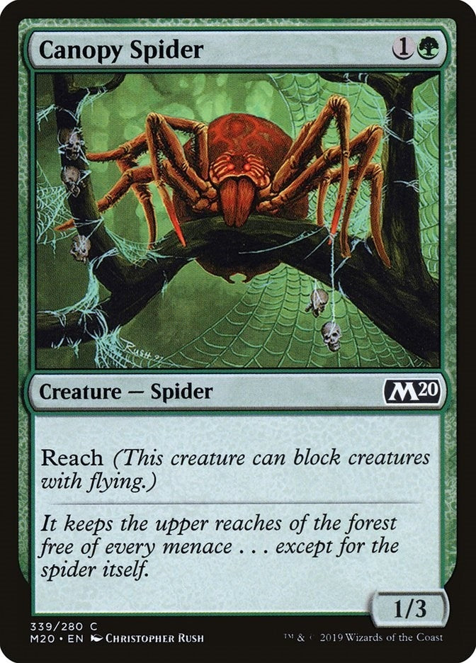 Image for Canopy Spider (Core Set 2020) (339) - Magic: The Gathering