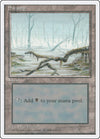 Image for Swamp (A) (Fourth Edition) (192) - Magic: The Gathering