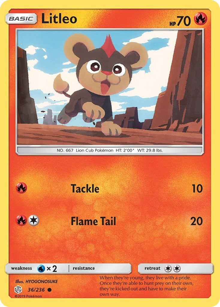 Image for Litleo (SM - Cosmic Eclipse) (36/236) - Pokemon