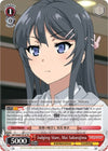 Image for Judging Stare, Mai Sakurajima (Rascal Does Not Dream of Bunny Girl Senpai) (SBY/W64-TE14 TD) - Weiss Schwarz