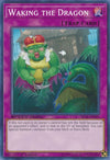 Image for Waking the Dragon (Speed Duel: Trials of the Kingdom) (SBTK-EN045) - YuGiOh