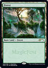 Image for Forest (2020) (MagicFest Cards) (6) - Magic: The Gathering