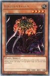 Image for Ibicella Lutea (Ignition Assault) (IGAS-EN027) - YuGiOh