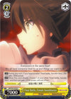 Image for Final Battle, Female Swordmaster (Goblin Slayer) (GBS/S63-E020 C) - Weiss Schwarz