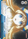 Image for Extensive Divine Protection (RRR) (Goblin Slayer) (GBS/S63-E097R RRR) - Weiss Schwarz