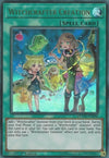 Image for Witchcrafter Creation (Duel Overload) (DUOV-EN096) - YuGiOh