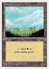 Image for Plains (B) (Summer Magic) (293) - Magic: The Gathering