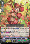 Image for Ranunculus Flower Maiden, Ahsha (V-TD12) (V-TD12/001EN)