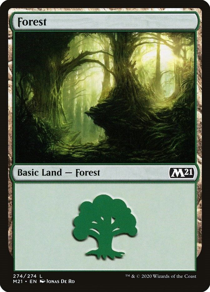 Image for Forest (274) (Core Set 2021) (274) - Magic: The Gathering