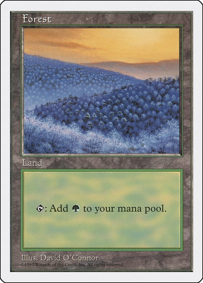 Image for Forest (449) (Fifth Edition) (449) - Magic: The Gathering