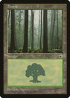 Image for Forest (Ferns on Ground) (Portal) - Magic: The Gathering