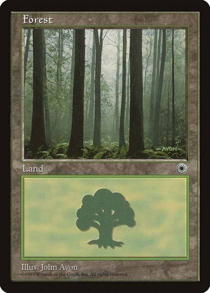 Image for Forest (Ferns on Ground) (Portal) - Magic: The Gathering