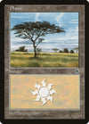 Image for Plains (No Flowers) (Portal) - Magic: The Gathering