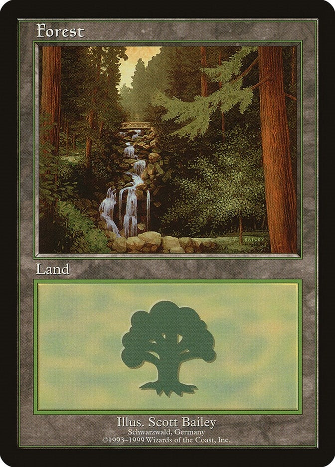 Image for Forest - Schwarzwald (European Lands) (1) - Magic: The Gathering