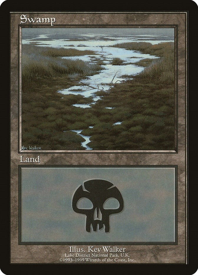 Image for Swamp - Lake District National Park (European Lands) (10) - Magic: The Gathering