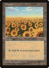 Image for Plains - Red Pack (Spears) (APAC Lands) - Magic: The Gathering