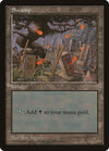 Image for Swamp - Blue Pack (Spears) (APAC Lands) - Magic: The Gathering