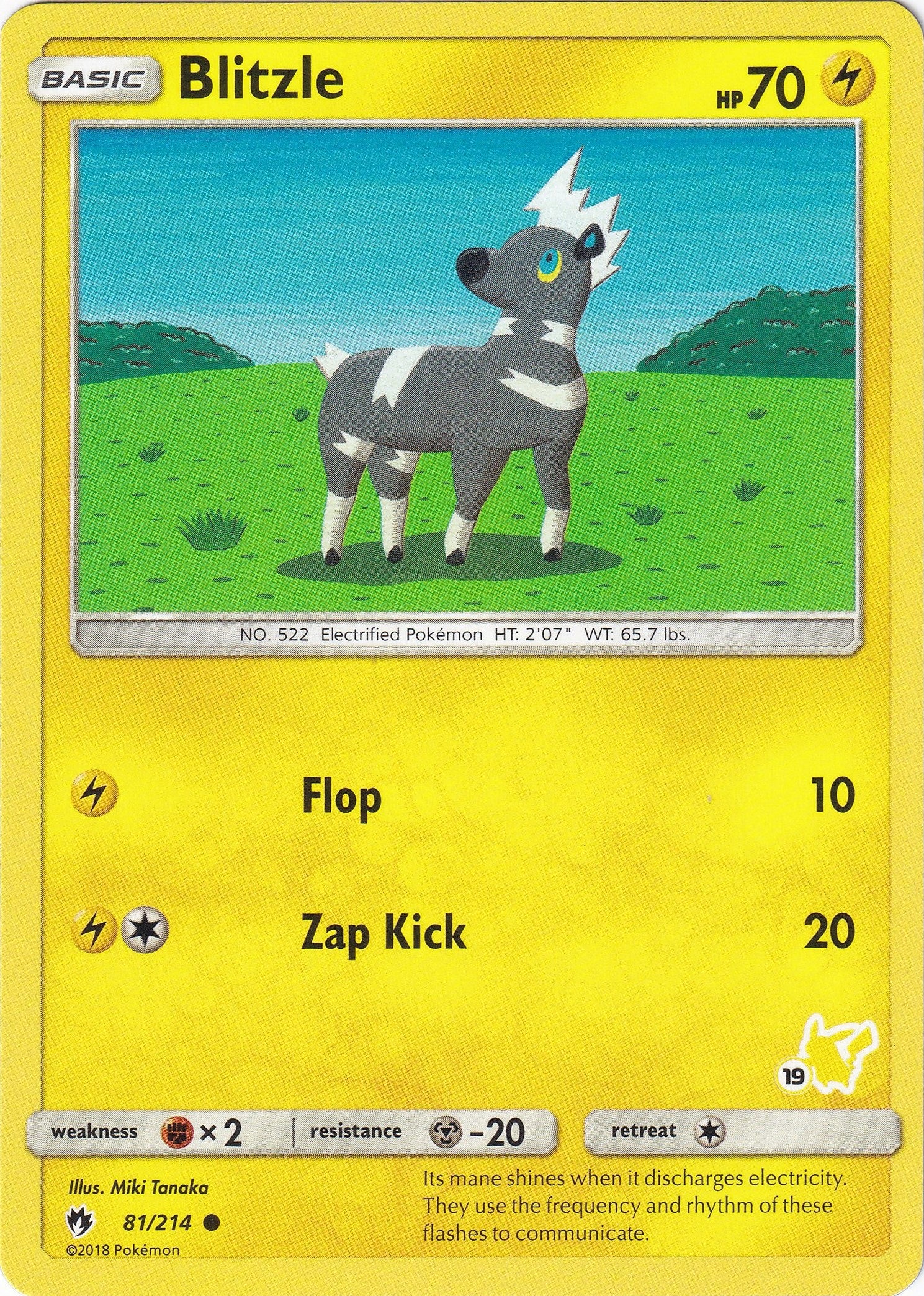 Image for Blitzle - 81/214 (#19 Pikachu Stamped) (Battle Academy) (081/214) - Pokemon