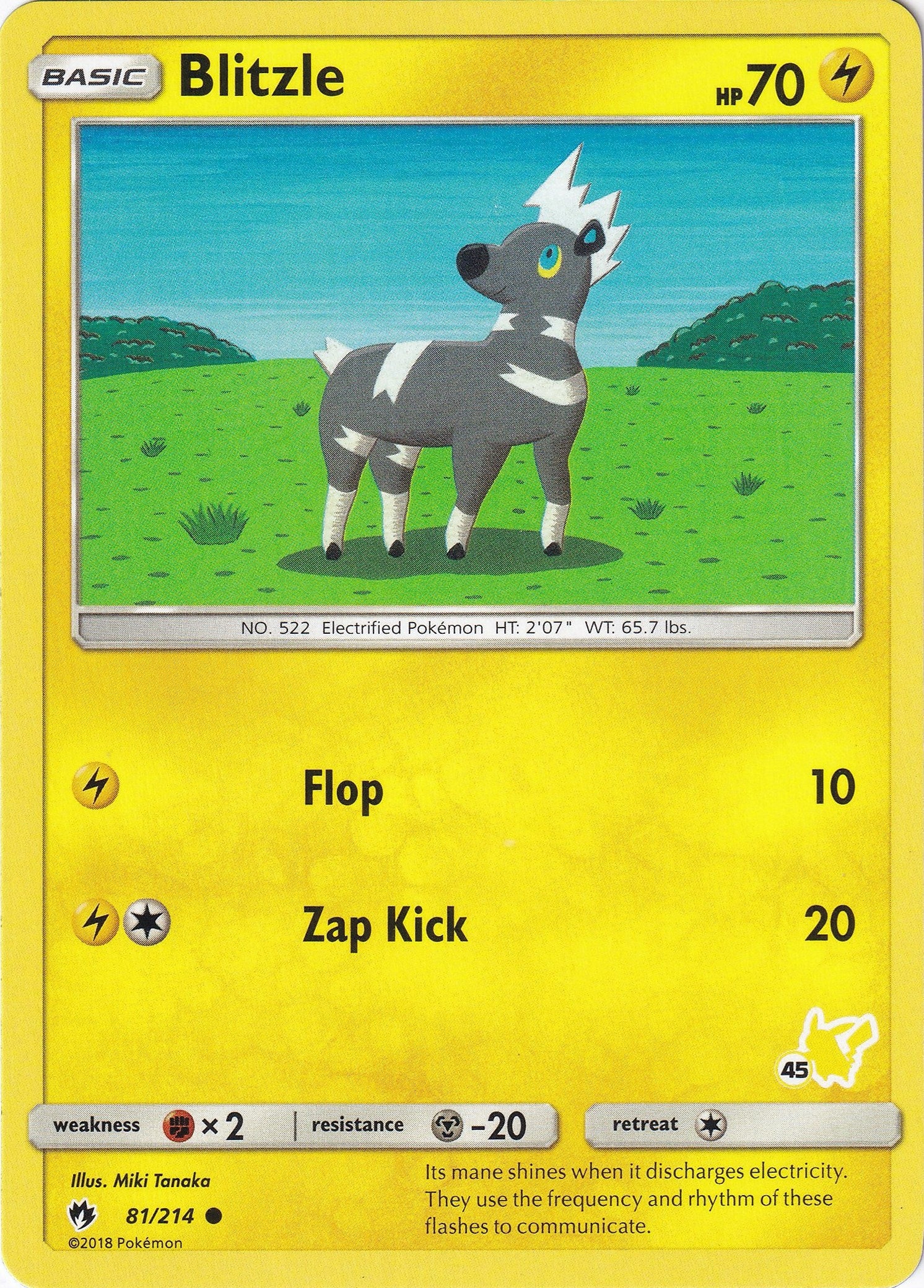 Image for Blitzle - 81/214 (#45 Pikachu Stamped) (Battle Academy) (081/214) - Pokemon