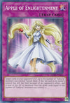 Image for Apple of Enlightenment (2020 Tin of Lost Memories) (MP20-EN046) - YuGiOh