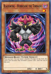 Image for Blackwing - Hurricane the Tornado (Dragons of Legend: The Complete Series) (DLCS-EN031) - YuGiOh