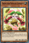 Image for Prediction Princess Coinorma (Dragons of Legend: The Complete Series) (DLCS-EN081) - YuGiOh