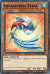 Image for Aquaactress Tetra (Dragons of Legend: The Complete Series) (DLCS-EN090) - YuGiOh
