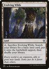Image for Evolving Wilds (Commander: Zendikar Rising) (129) - Magic: The Gathering