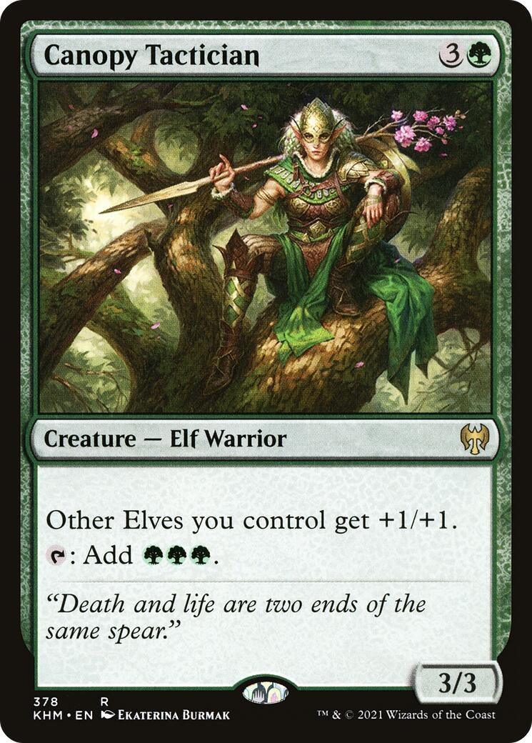 Image for Canopy Tactician (Kaldheim) (378) - Magic: The Gathering
