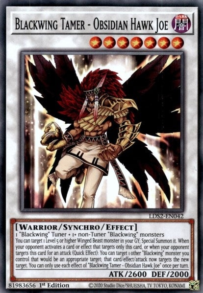 Image for Blackwing Tamer - Obsidian Hawk Joe (Legendary Duelists: Season 2) (LDS2-EN042) - YuGiOh