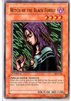 Image for Witch of the Black Forest (Starter Deck: Pegasus) (SDP-014) - YuGiOh