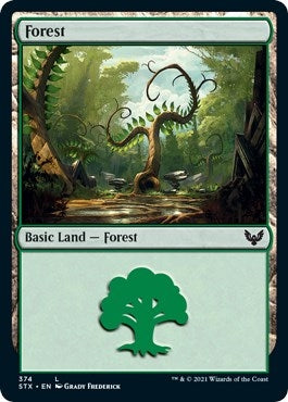 Image for Forest (374) (Strixhaven: School of Mages) (374) - Magic: The Gathering