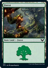Image for Forest (375) (Strixhaven: School of Mages) (375) - Magic: The Gathering