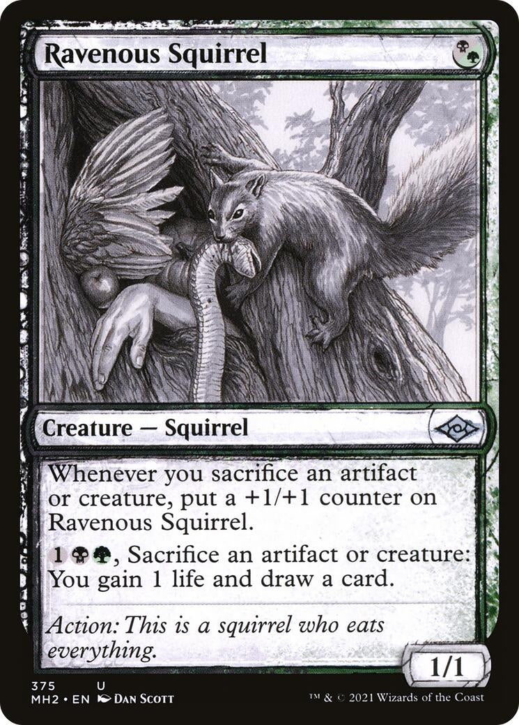 Image for Ravenous Squirrel (Showcase) (Modern Horizons 2) (375) - Magic: The Gathering