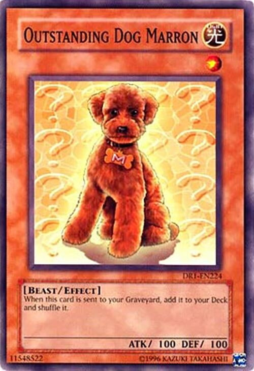 Image for Outstanding Dog Marron (Dark Revelation Volume 1) (DR1-EN224) - YuGiOh