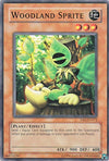 Image for Woodland Sprite (Dark Beginning 2) (DB2-EN172) - YuGiOh