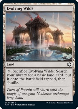 Image for Evolving Wilds (Adventures in the Forgotten Realms) (256) - Magic: The Gathering