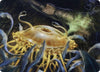 Image for Flumph Art Card (Art Series: Adventures in the Forgotten Realms) (12) - Magic: The Gathering