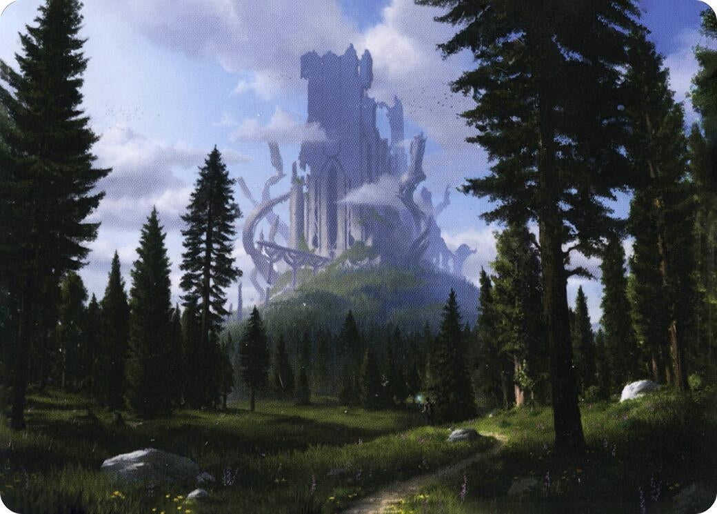 Image for Forest (61/81) Art Card (Art Series: Adventures in the Forgotten Realms) (61) - Magic: The Gathering