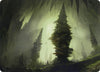 Image for Forest (55/81) Art Card (Art Series: Adventures in the Forgotten Realms) (55) - Magic: The Gathering
